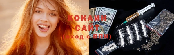 ешки Новодвинск