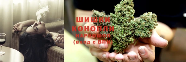 соль ск Новозыбков