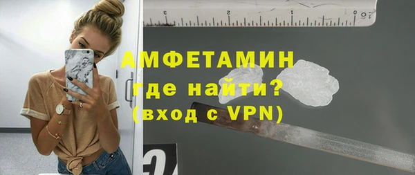 соль ск Новозыбков
