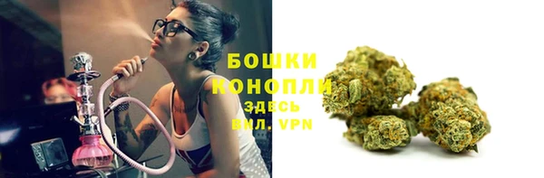 ешки Новодвинск
